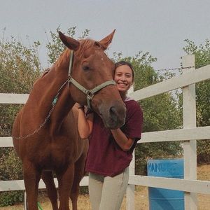 Meet your Posher, Sydney